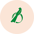Srokao - logo